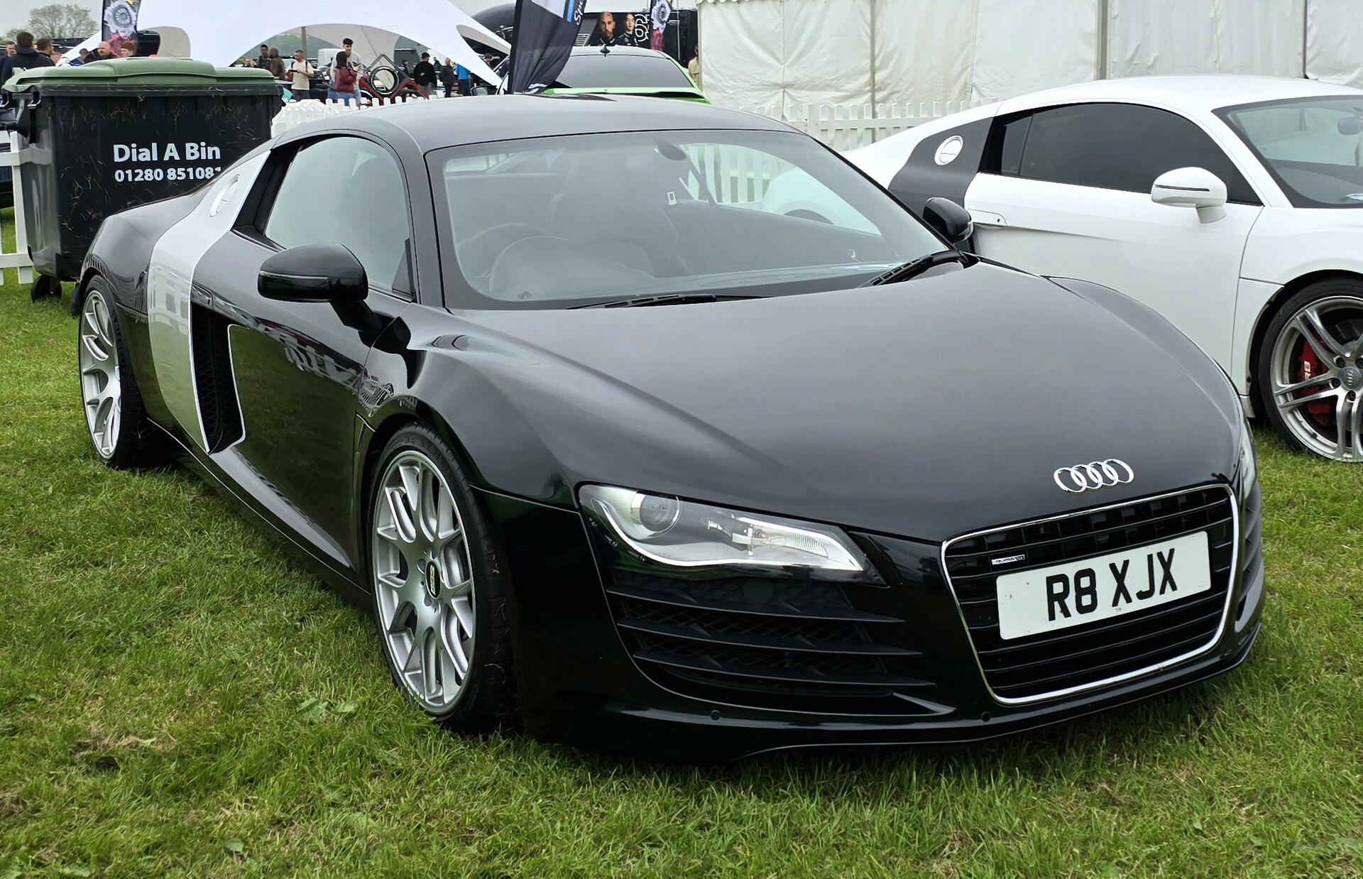 Audi R8