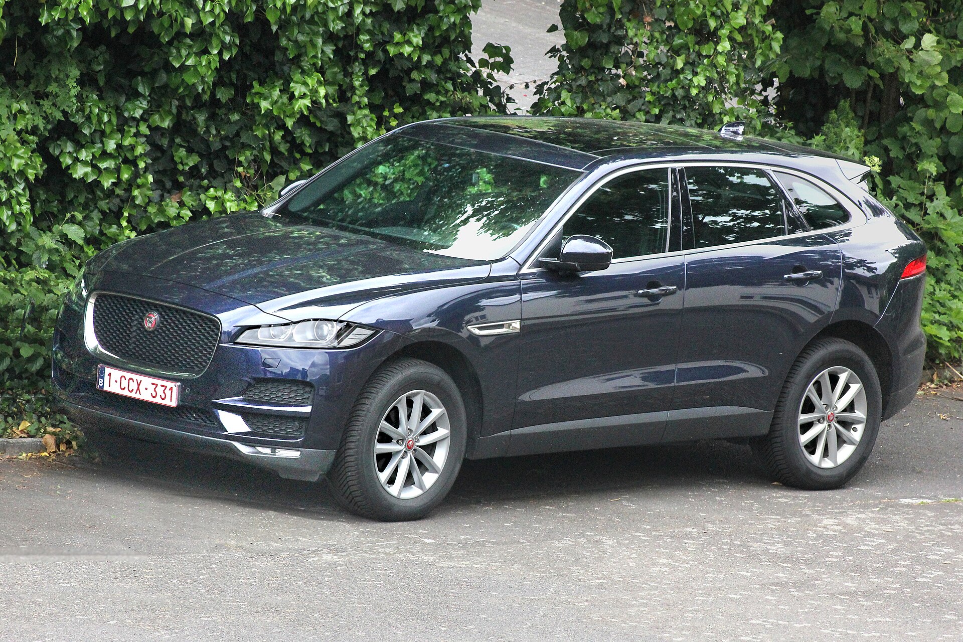 How Much Does a Jaguar Cost?