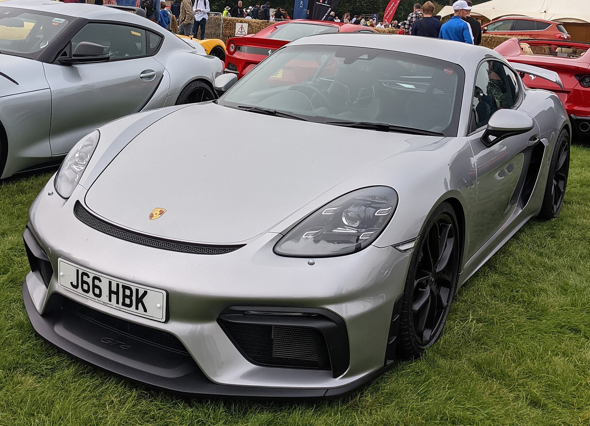 Porsche Martini Racing: Everything You Need to Know in 2026